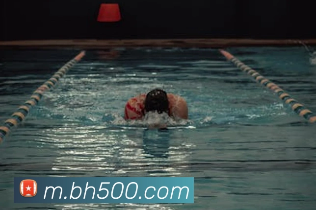 500彩票服务体系